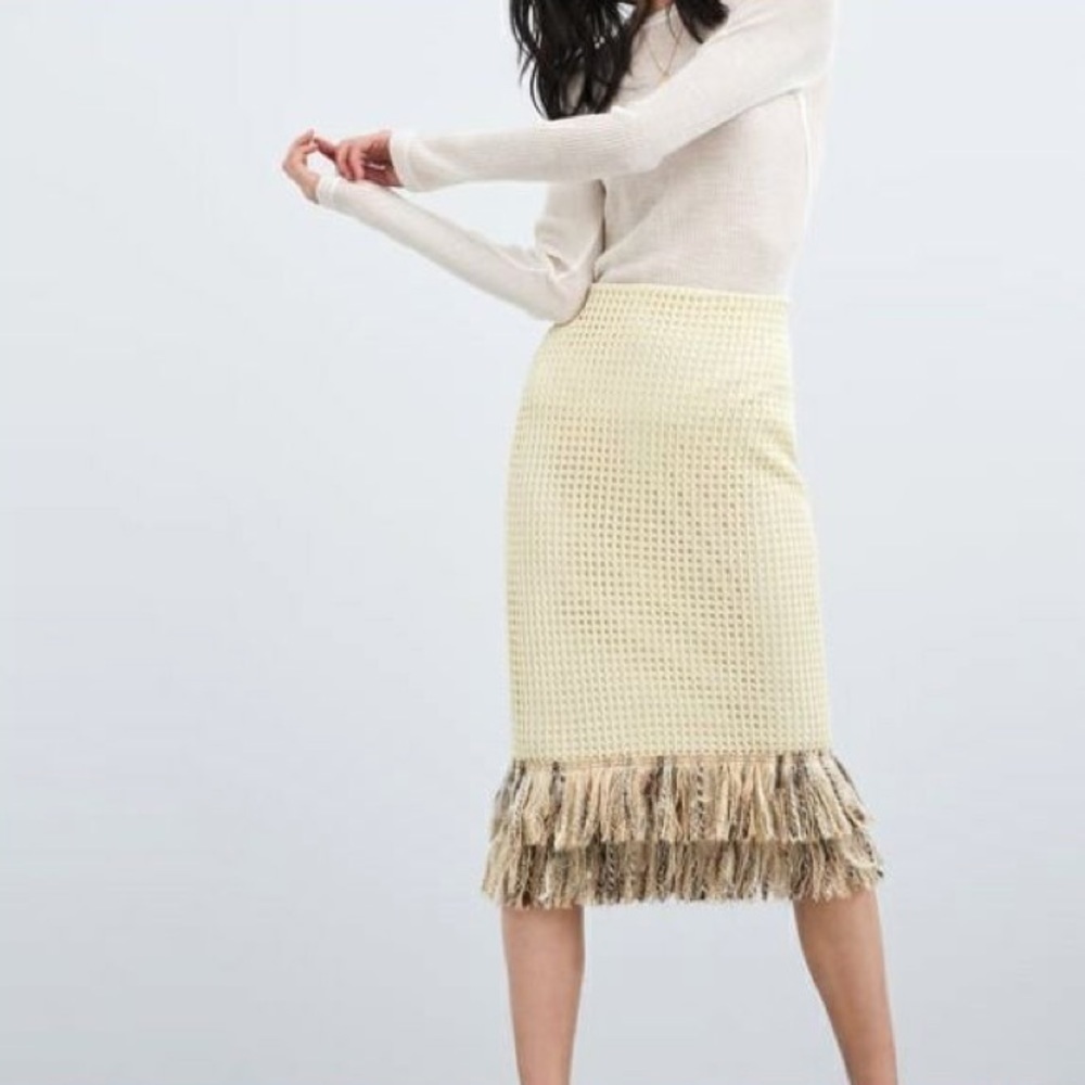 Zara Crochet Skirt